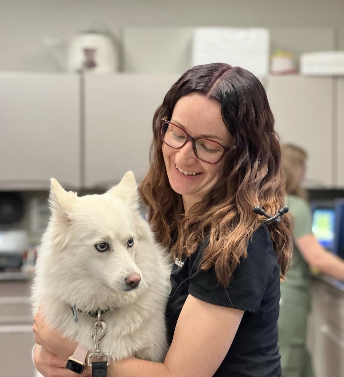 A team member smiling down at a white husky she is holding in an exam room.